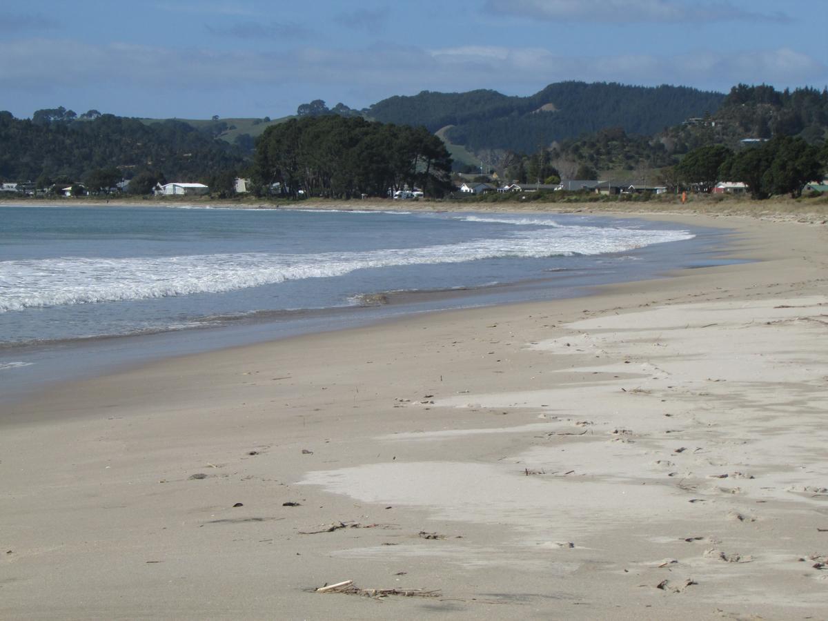 Flaxmill Cove B&B Whitianga Exterior foto