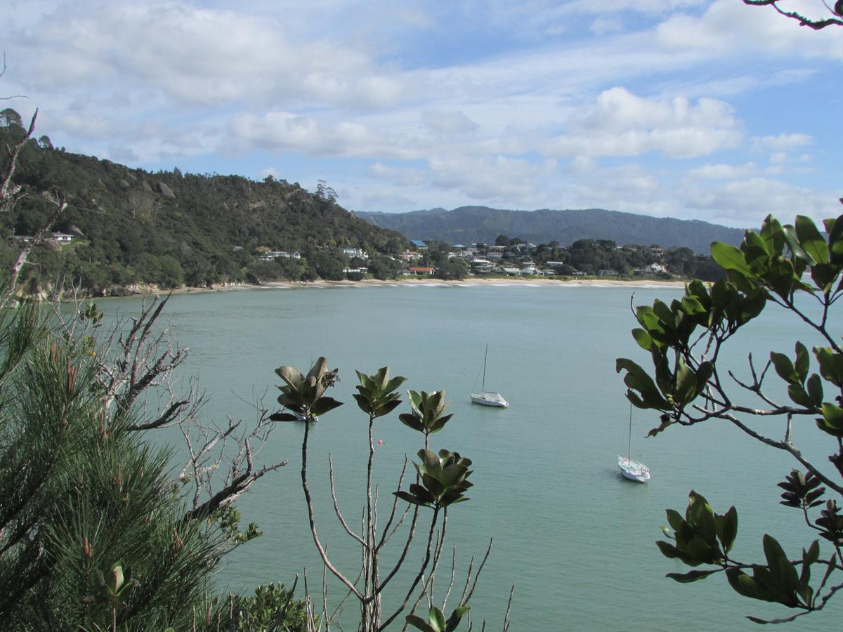 Flaxmill Cove B&B Whitianga Exterior foto